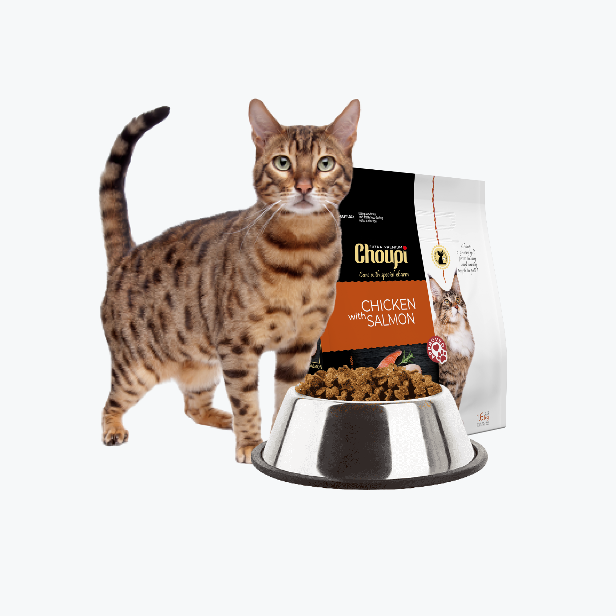 Dry cat food